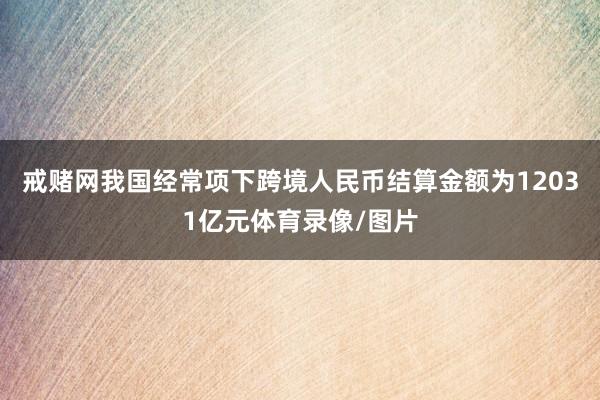 戒赌网我国经常项下跨境人民币结算金额为12031亿元体育录像/图片