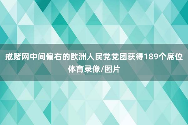 戒赌网中间偏右的欧洲人民党党团获得189个席位体育录像/图片