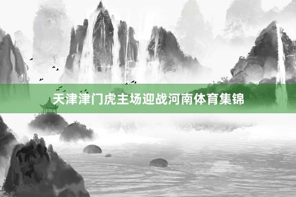 天津津门虎主场迎战河南体育集锦