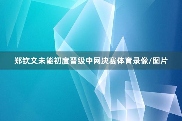 郑钦文未能初度晋级中网决赛体育录像/图片